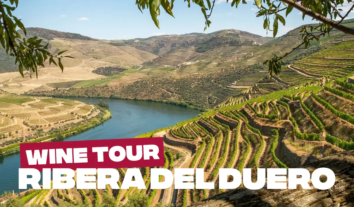 Tour a la Ribera del Duero