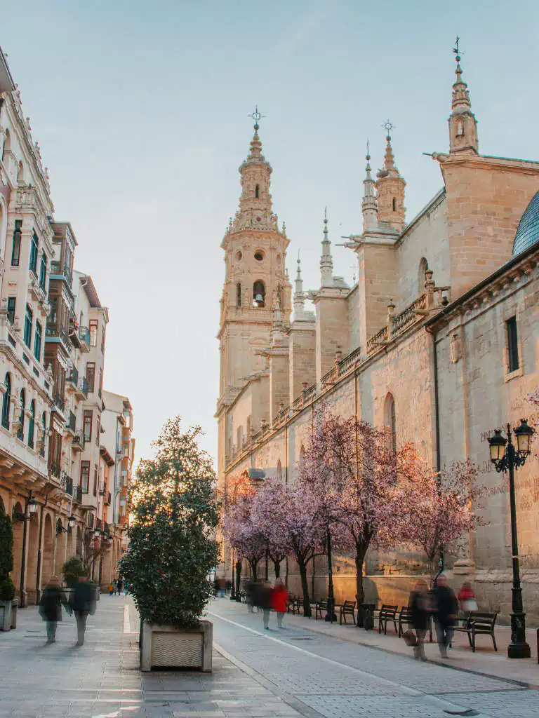 City Tour Gastronómico Logroño GAL_07